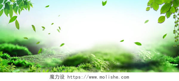 小清新背景绿色春季春天小清新绿色淘宝海报背景